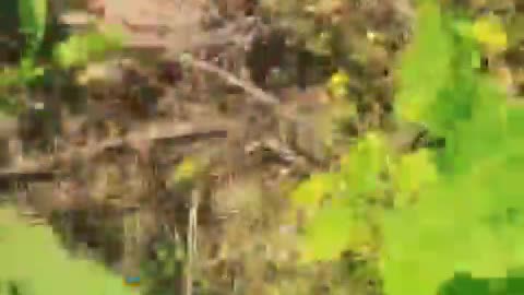 American Volunteer Clearing Land Mines on Ukrainian Farm