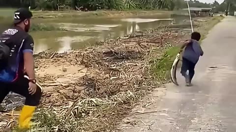 低头族的倒霉瞬间，走路千万别玩手机！#监控下的一幕 #低头族 #社死 #搞笑 #倒霉蛋