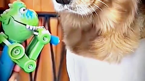 😆😂 "This Dog Just Invented Comedy!" 😆😂