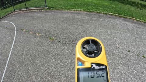 Episode 74 - Trees and the Urban Heat Island effect, or How to Stay Cool in Summer