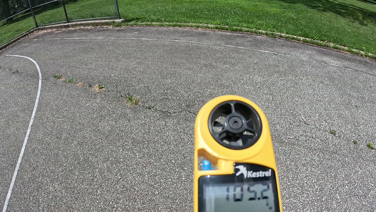 Episode 74 - Trees and the Urban Heat Island effect, or How to Stay Cool in Summer