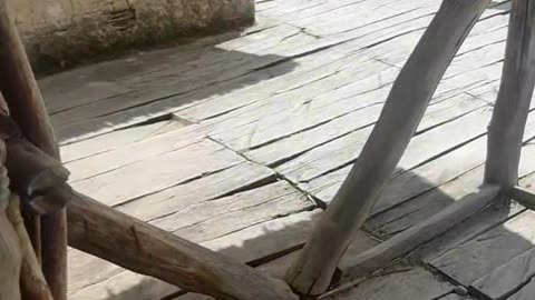 Bay of the bones