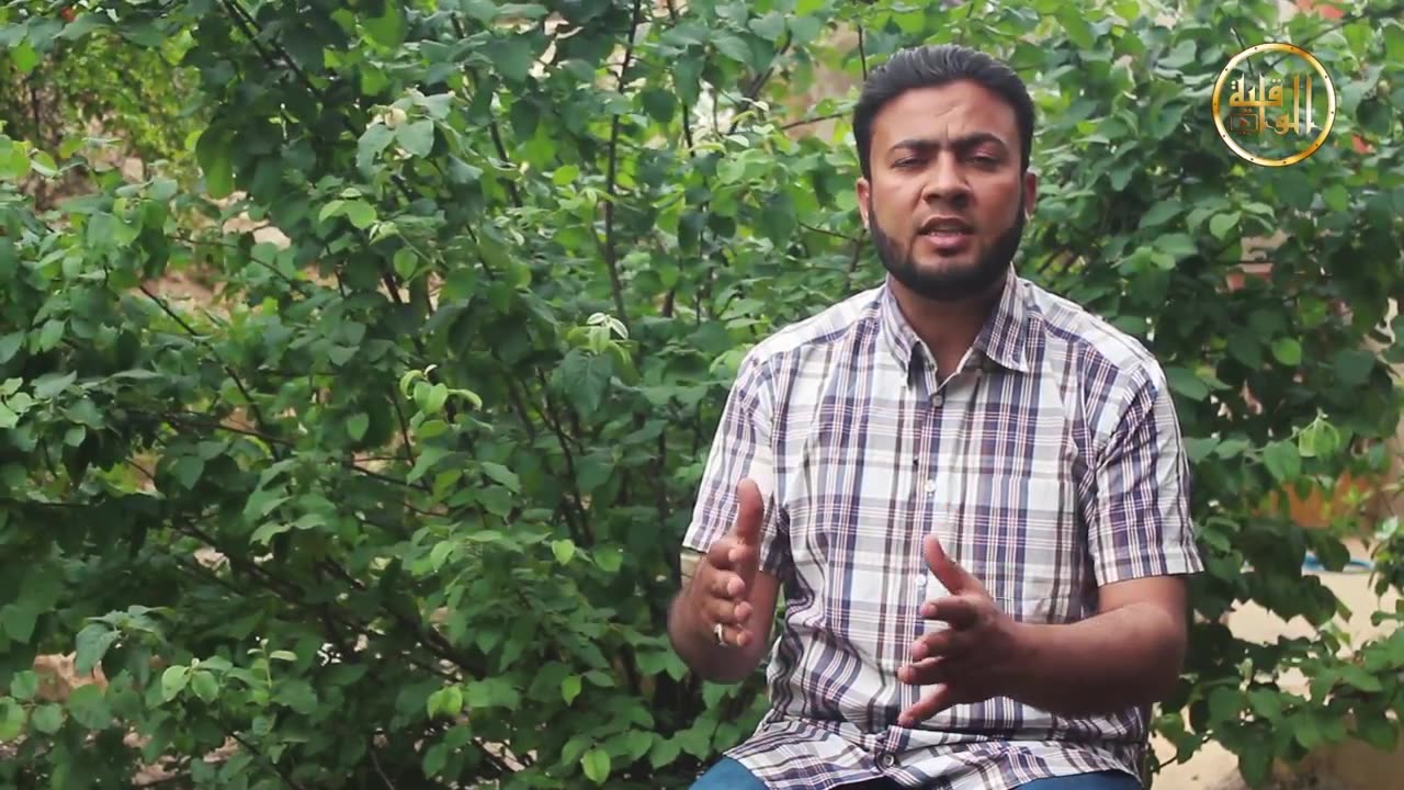 من شذى رمضان ماذا بعد إسقاط