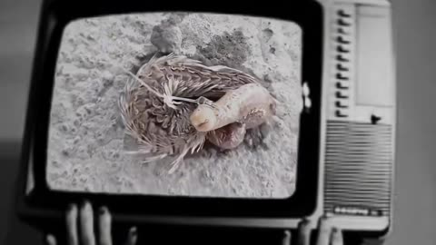 😱👻 You Won't Believe What They Caught on Camera! Creepy Paranormal | TheHauntingHour