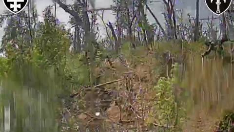 🛸💥 Ukraine Russia War | SIGNUM Drones Wipe Out Russian Infantry in Lyman Foxholes | RCF