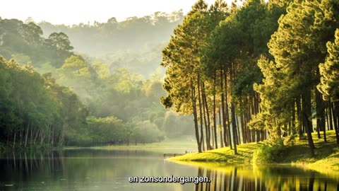 Lies People Tell About Water – Part 2 Special Waters (Raw, Alkaline, Oxygenated) (Dutch/NL Subs)