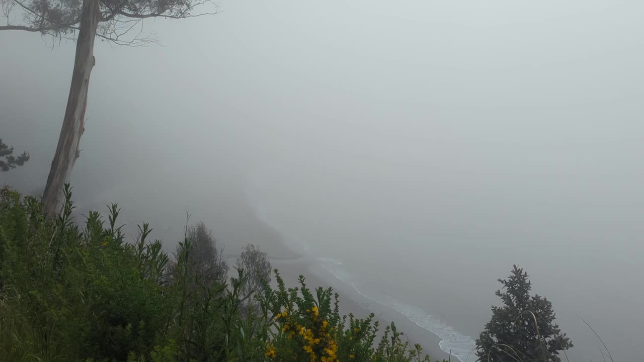 Capitola Fog
