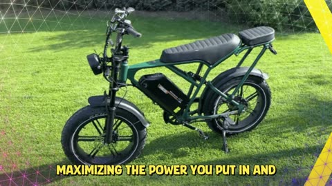RCB G19 Electric Bike 48V 20.8AH Battery 250W Brushless Motor 20 inch Electric Bike
