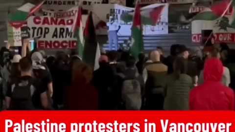 Pro-Palestinian Protester Chants Death To Canada Death To Israel