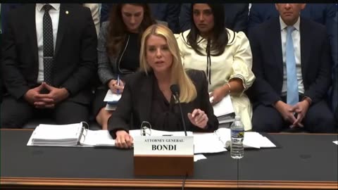 Pam Bondi infuriates Dems as she points out Dem member took money from Reid Hoffman