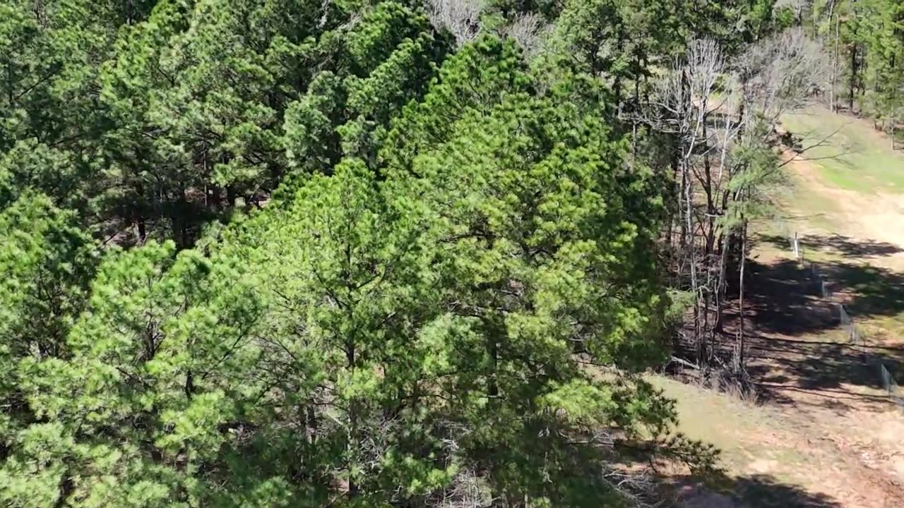 Spring is here; Let's check out the Goat Pasture Fence