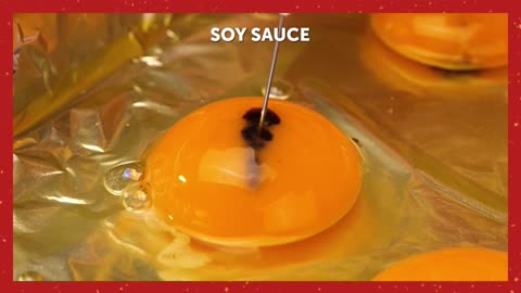 Quick & Delicious Egg Recipe in 5 Minutes! 🍳