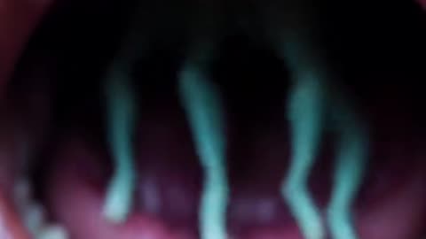 😨👽 The Mini Alien That Will Give You Chills | TheHauntingHour