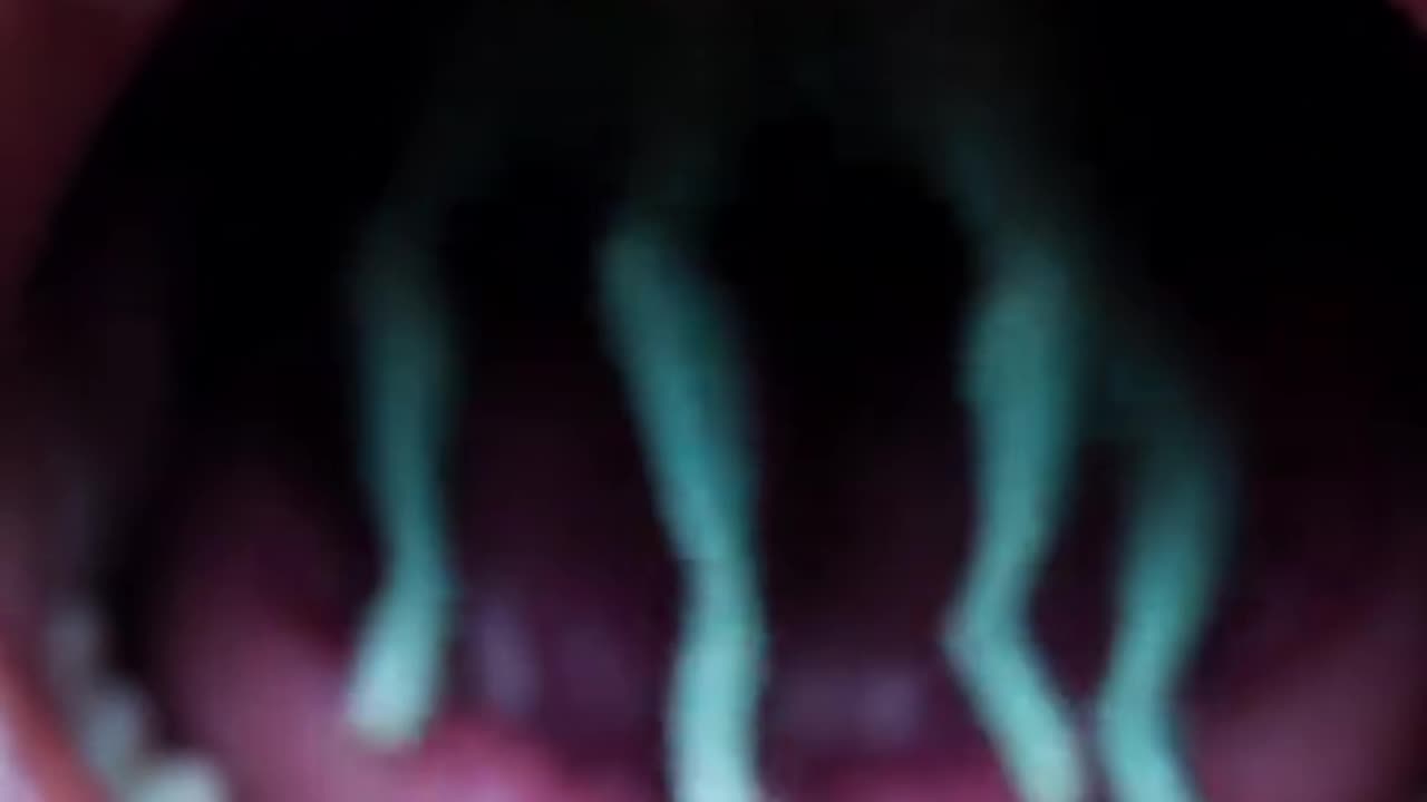 😨👽 The Mini Alien That Will Give You Chills | TheHauntingHour