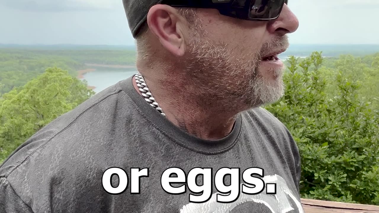 House & Eggs