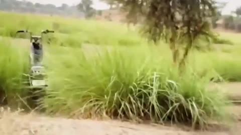 😂🚵‍♂️ You Won't Believe How Bike People Need Me! | FunFM