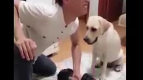 Cat and Dog funny