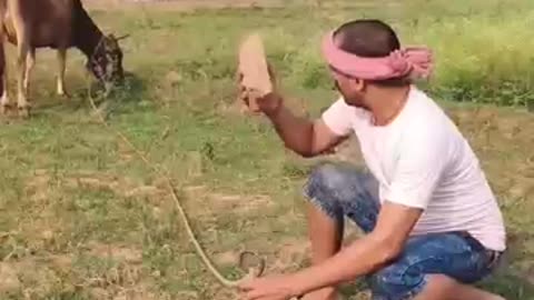 Eshi chor nhi dekha hoga bina hath lagye chori Kar liya😂😂😂😂😂😅😅😅😅🤣🤣😝😝😝