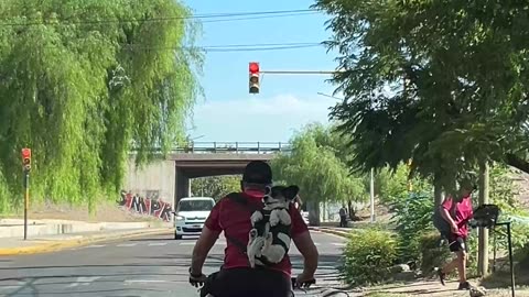 Backpack Bicycle Pup