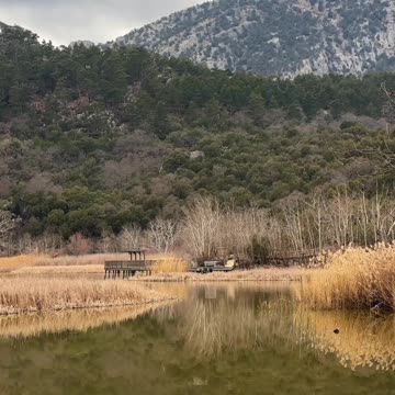 😊 243 CUANDO AGRADECES, EL UNIVERSO MULTIPLICA 😊