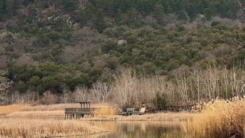 😊 243 CUANDO AGRADECES, EL UNIVERSO MULTIPLICA 😊