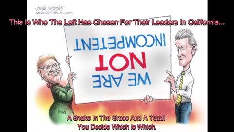 The P.C. Crowd(Political Cartoons)