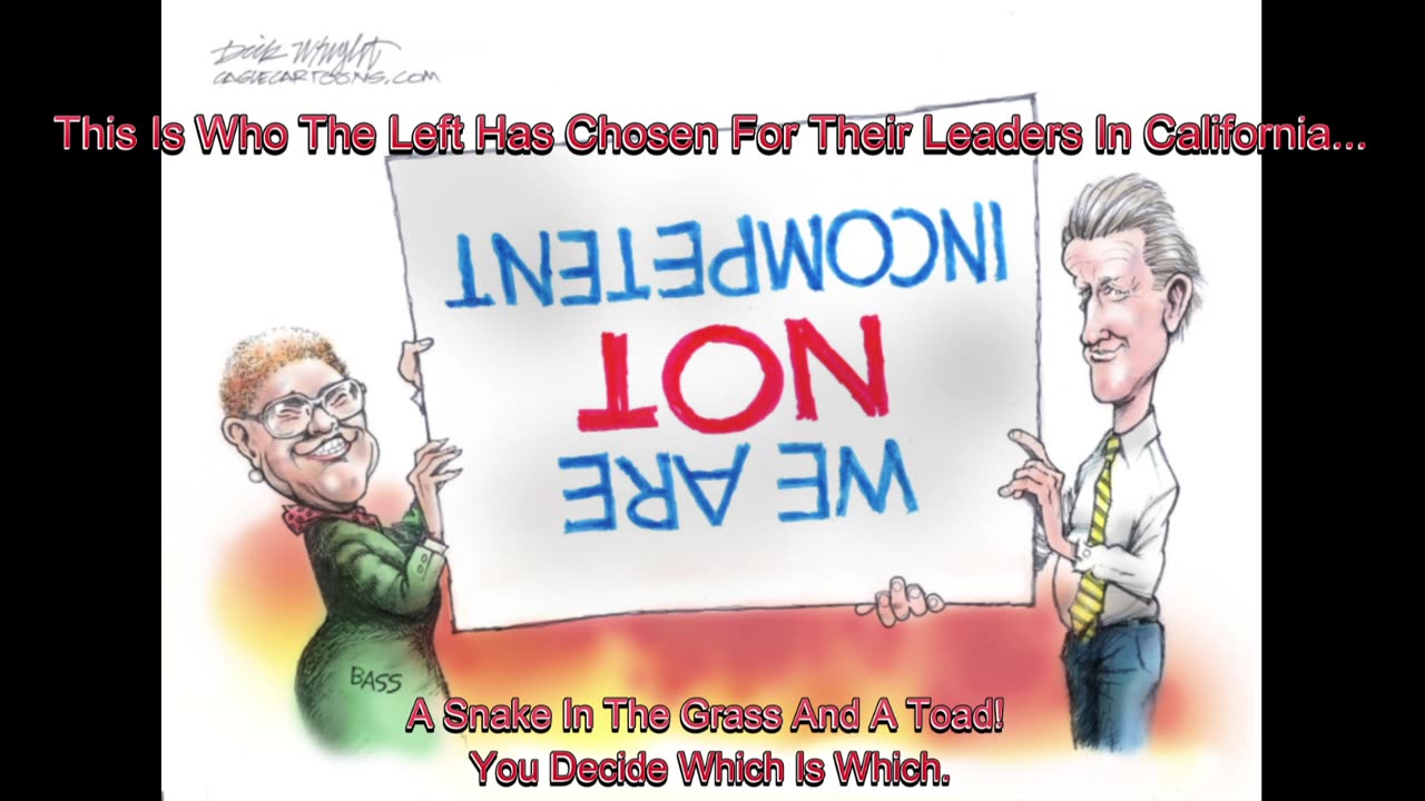 The P.C. Crowd(Political Cartoons)