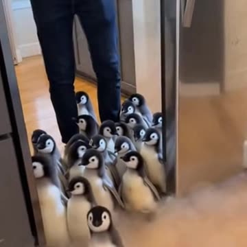 Accidentally Opened the Fridge and Unleashed a Penguin Army 🐧❄️ #Sora #Ai