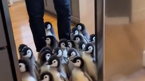 Accidentally Opened the Fridge and Unleashed a Penguin Army 🐧❄️ #Sora #Ai