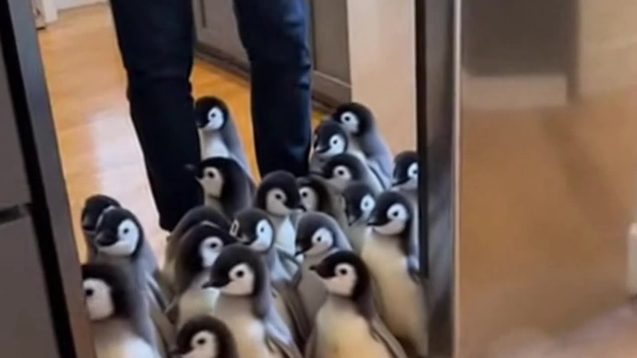 Accidentally Opened the Fridge and Unleashed a Penguin Army 🐧❄️ #Sora #Ai