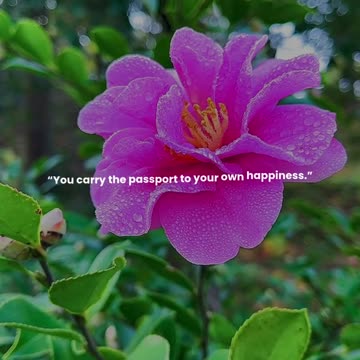 You carry the passport to your own happiness.