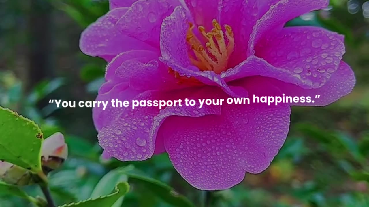 You carry the passport to your own happiness.
