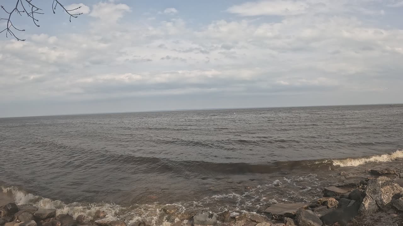 A nice windy day