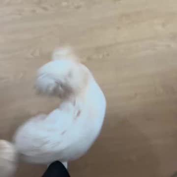 Tornado would be a perfect name for this one