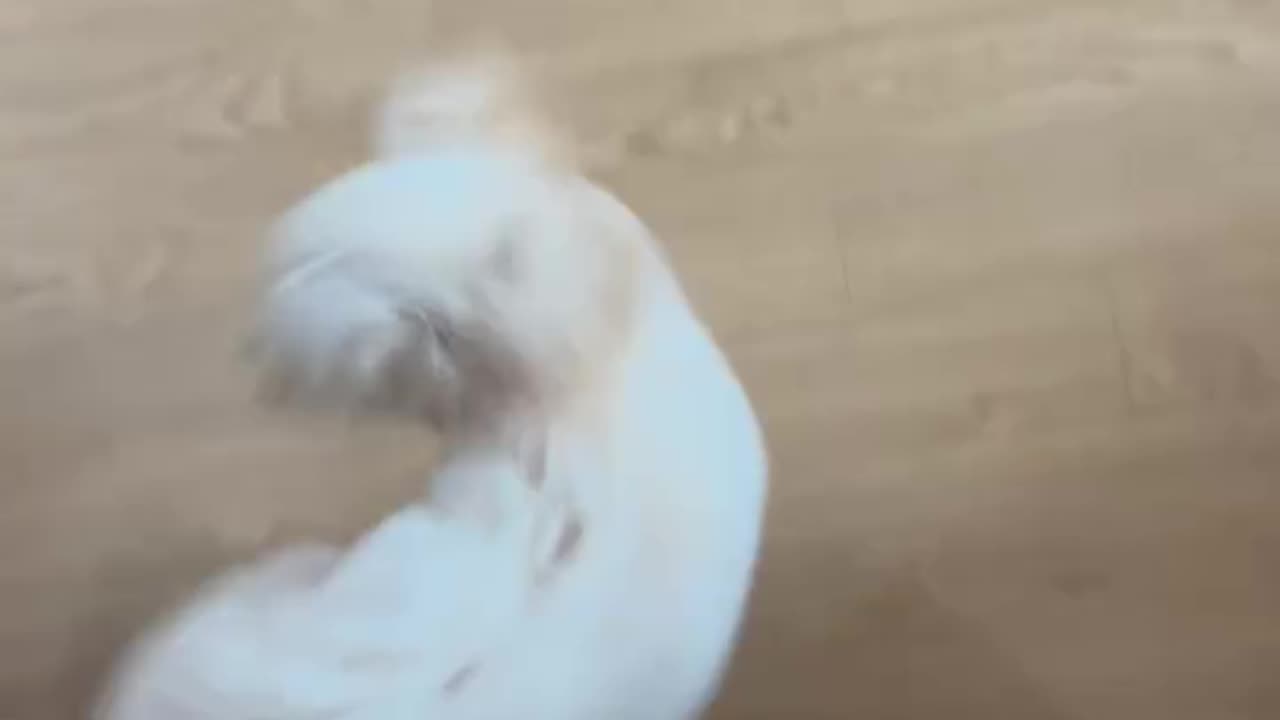 Tornado would be a perfect name for this one