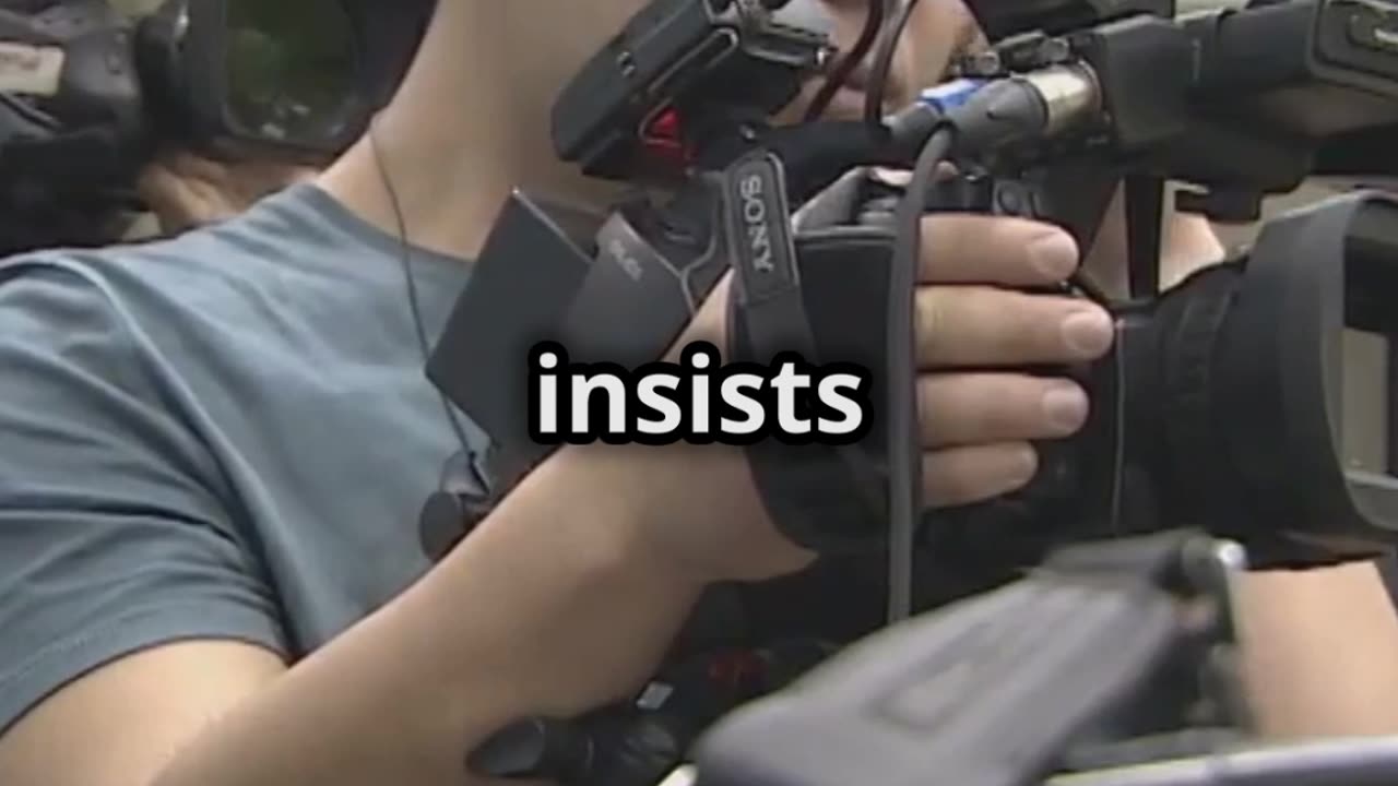 The boss's explanation after the sex purchase accusation – compare with "The Troll Factory"