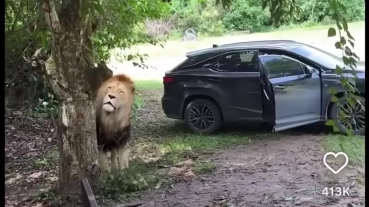 Out Of The Frying Pan 🍳🍳, Into The Fire 🔥🔥🔥!!!