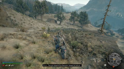 Days Gone - What's a Nice Girl