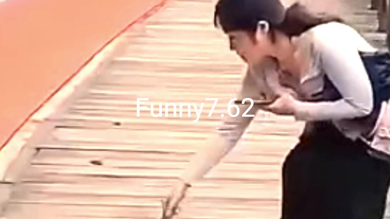 Strange and funny behavior of animals