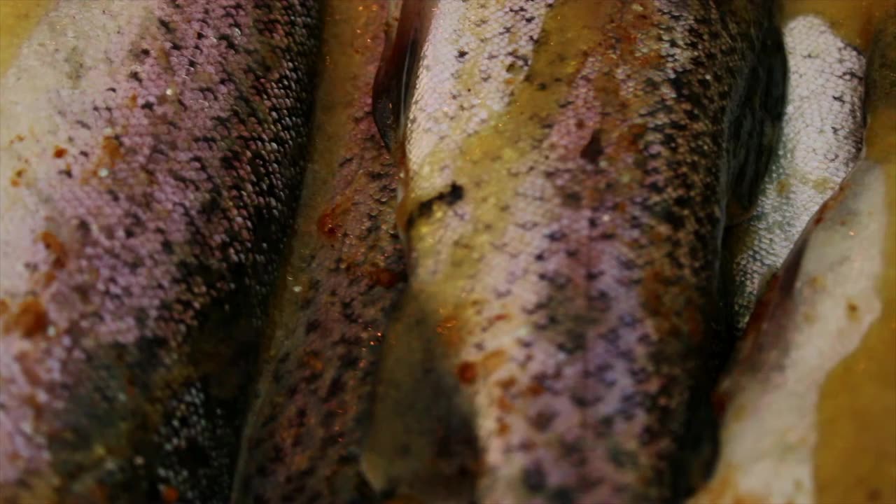 Grilled Rainbow Trout