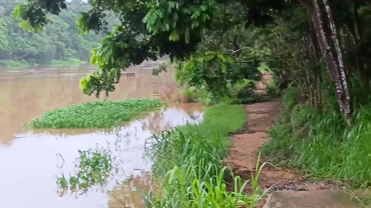 5.2.2025 The Barron River, Kuranda