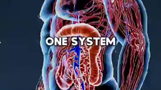 Body Mind Healing Connection