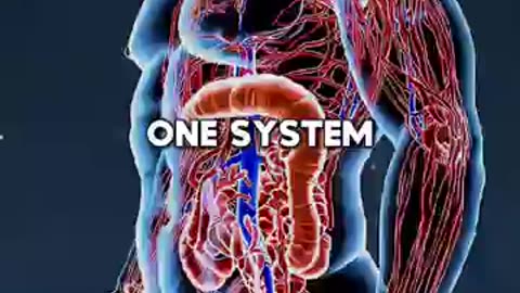 Body Mind Healing Connection