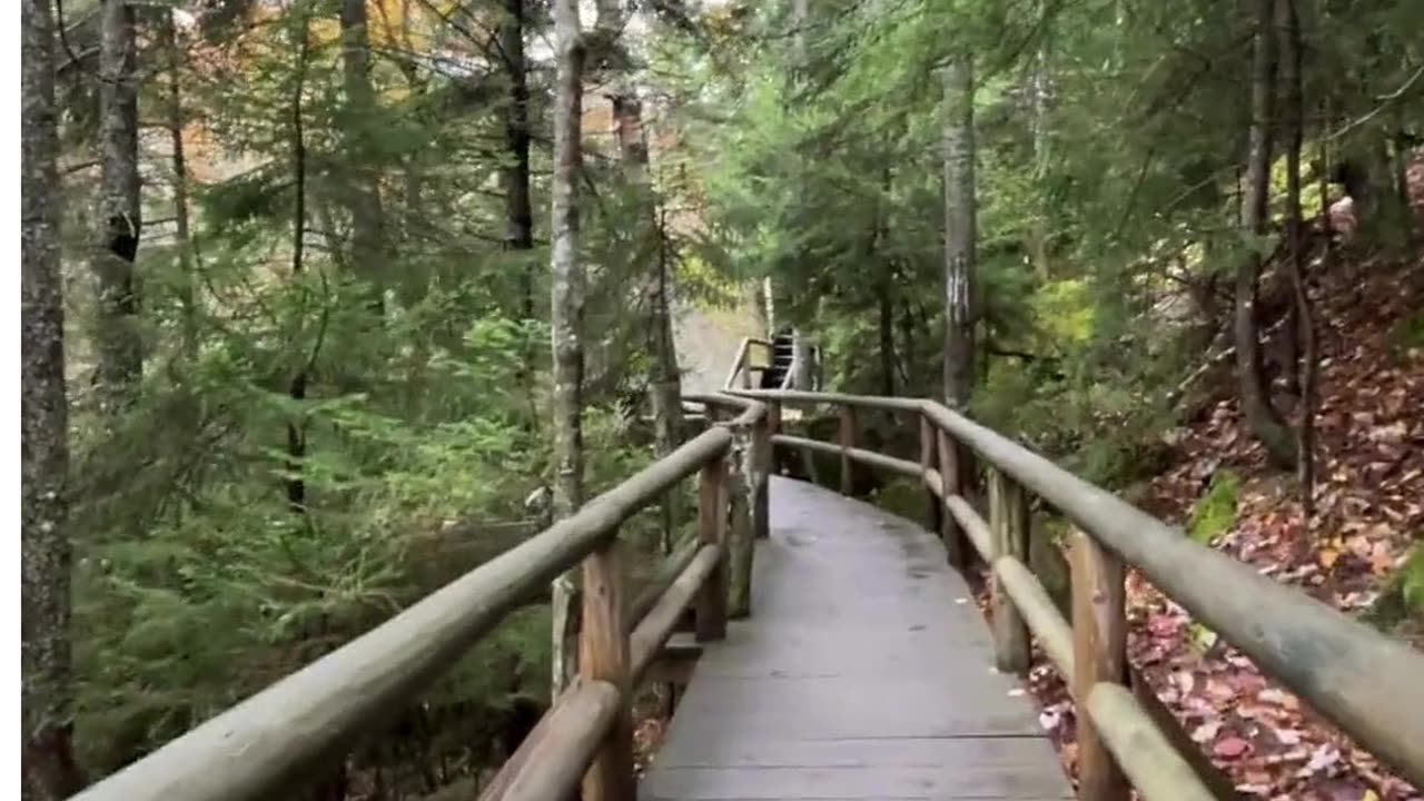 Nature is the best teacher