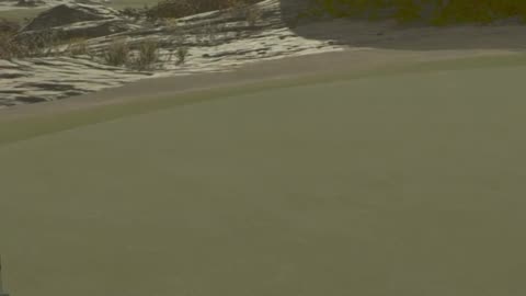 Desert Drive, Desert Redemption PGA2K25 Splash Shot to 1ft