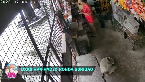 Anison FM Radio Animati