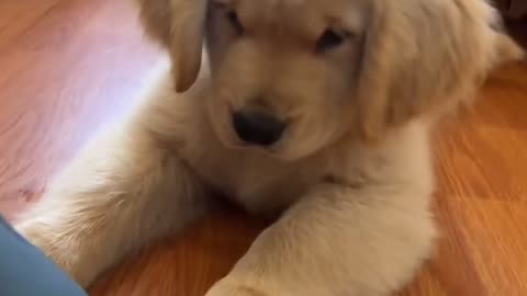 Omggggg