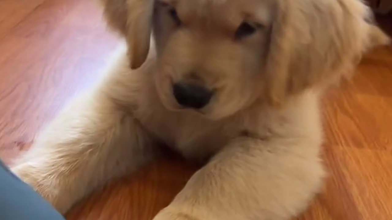 Omggggg