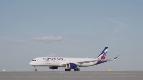 Depending on the type of aircraft, the door weight can range from 40 to 100 kilograms.