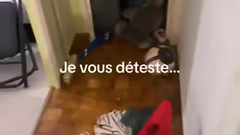 Frenchwoman Breaks Down After Her Home Is Ransacked in Broad Daylight